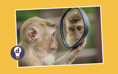 Positionality: who are you, and how does it influence your learning design?
