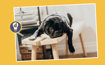Tackling procrastination with learning design