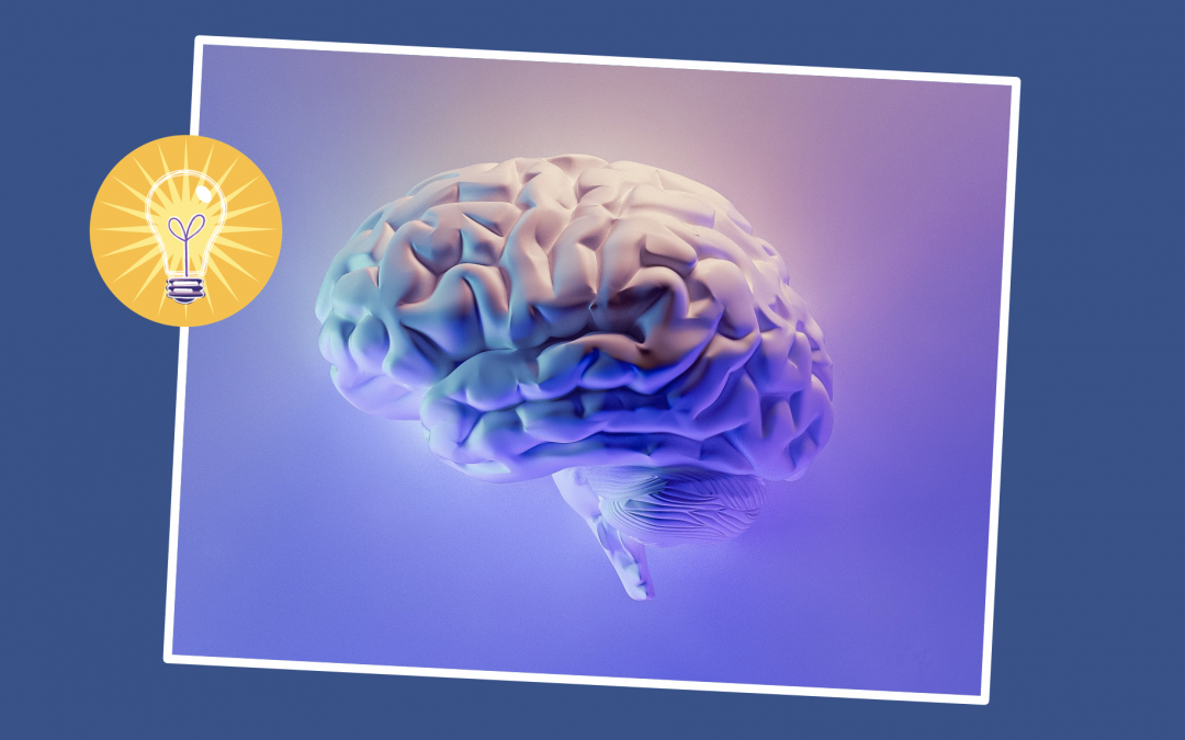 Ding! Use learners' prior knowledge to guide learning design