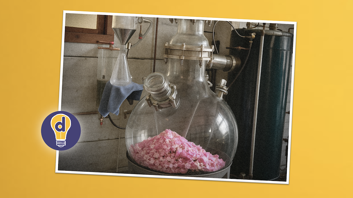 Using fictional scenarios to distil the essence of learning Ding: The Art of Impact and Engagement